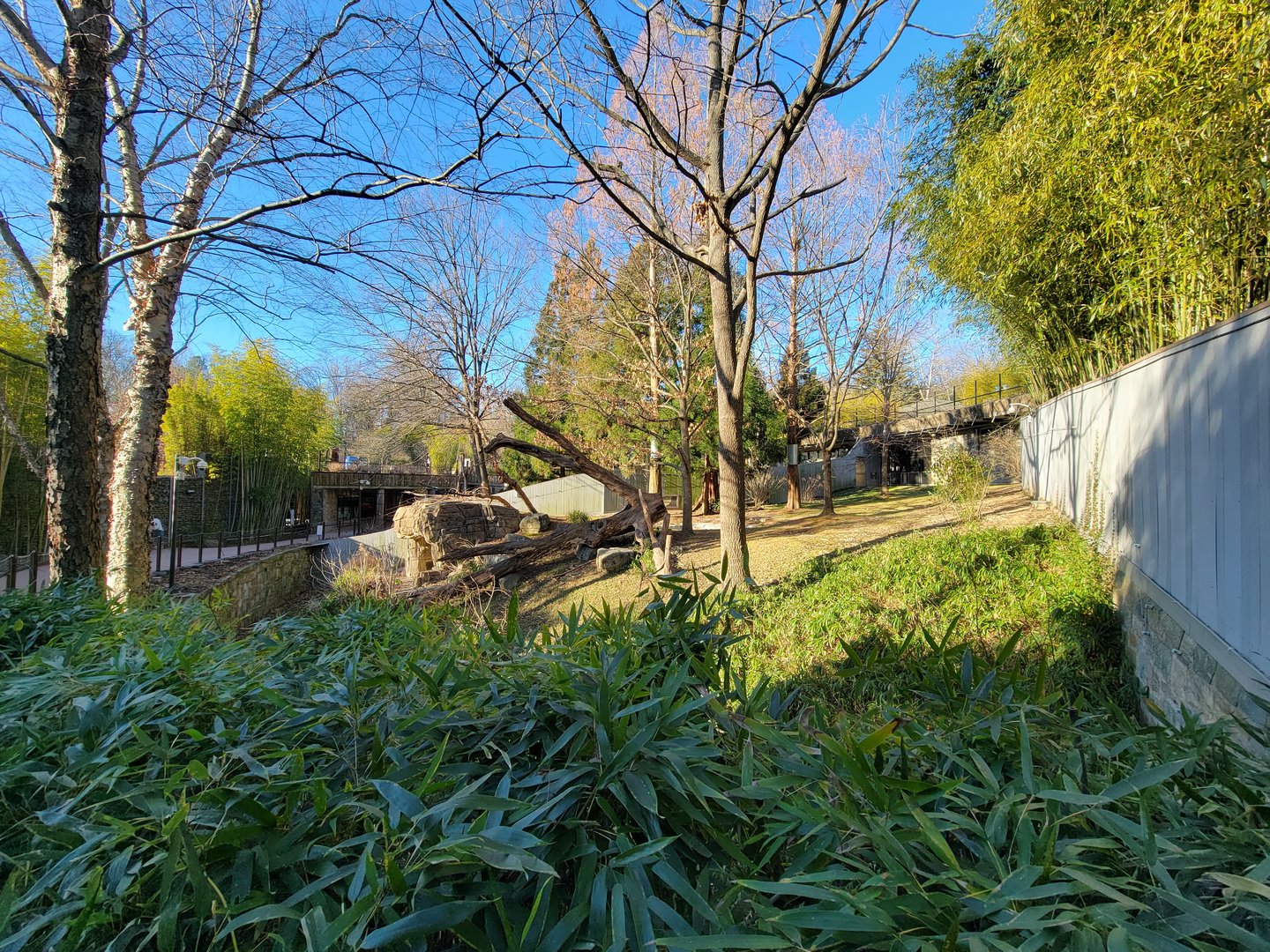 Smithsonian 2/22 - Asia Trail, giant panda right-most yard