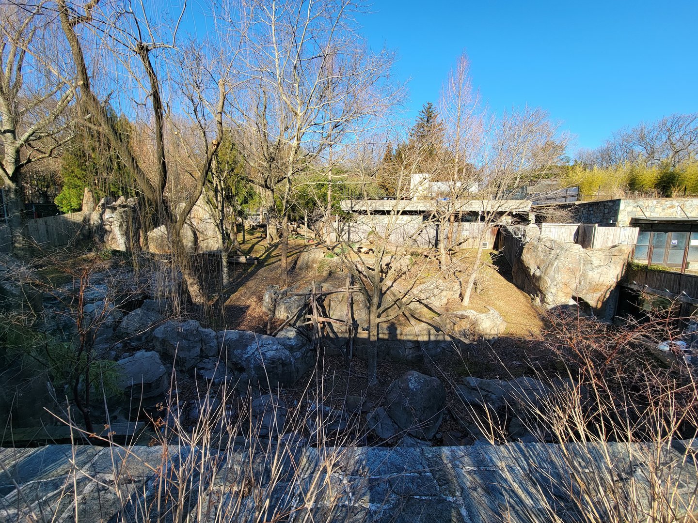 Smithsonian 2/22 - Asia Trail, giant panda yard