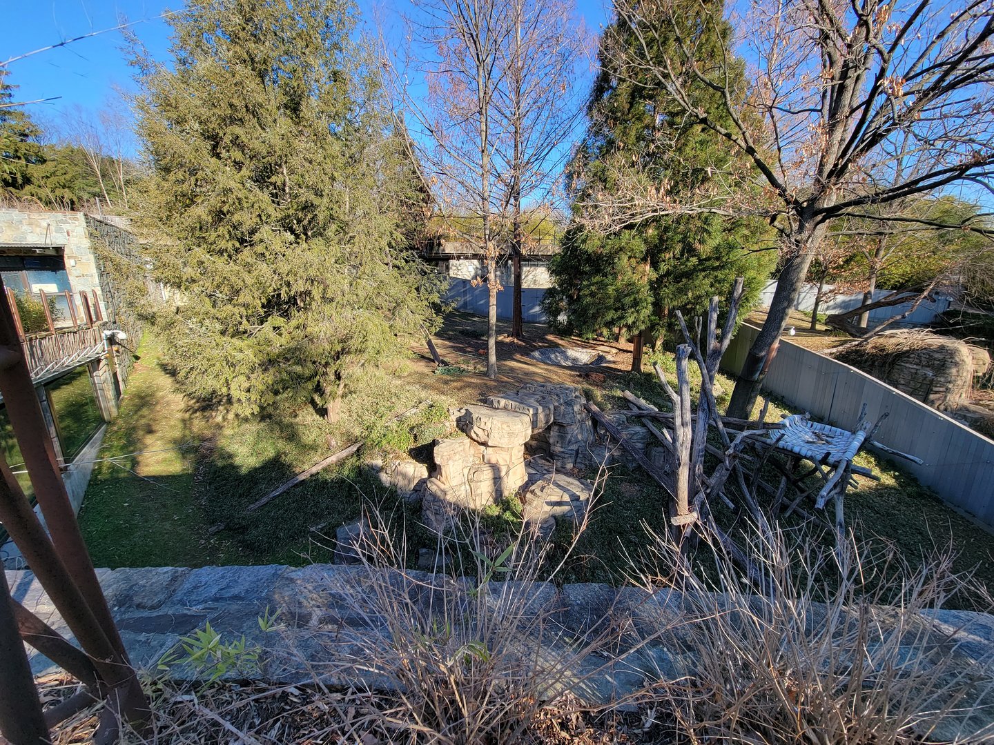 Smithsonian 2/22 - Asia Trail, giant panda yard