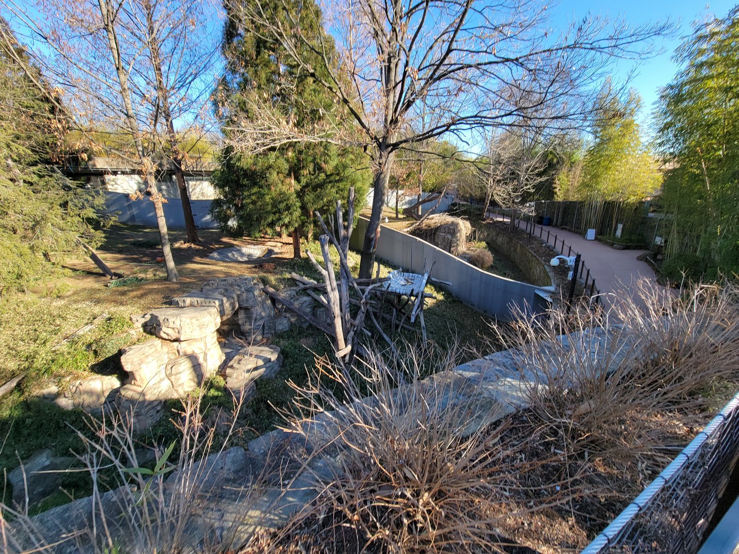 Smithsonian 2/22 - Asia Trail, giant panda yard