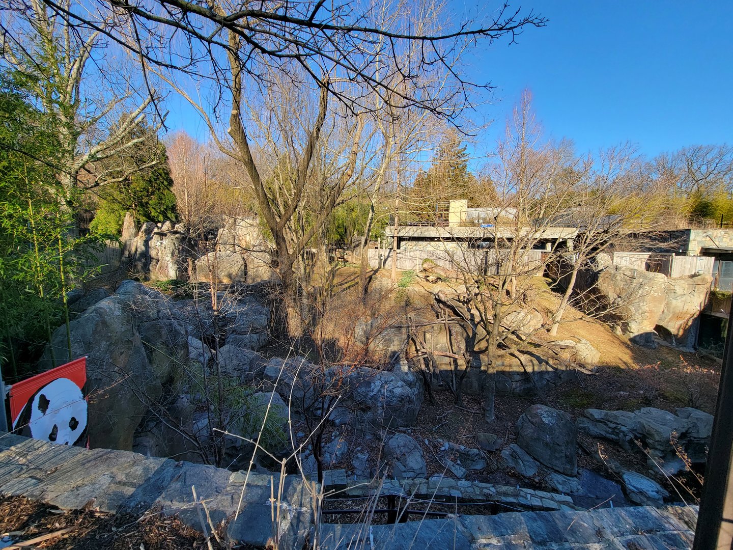 Smithsonian 2/22 - Asia Trail, giant pandas, far left yard
