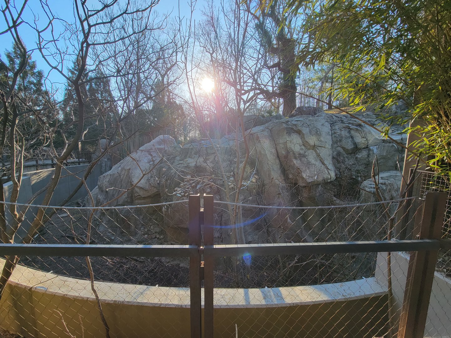 Smithsonian 2/22 - Asia Trail, left sloth bear yard