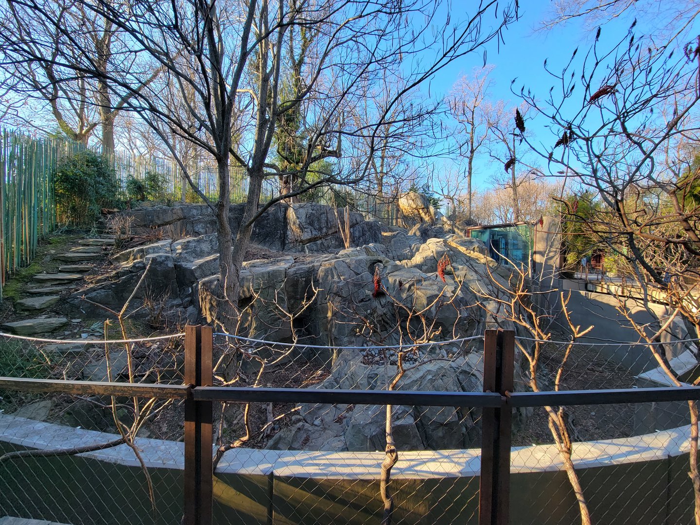 Smithsonian 2/22 - Asia Trail, left sloth bear yard