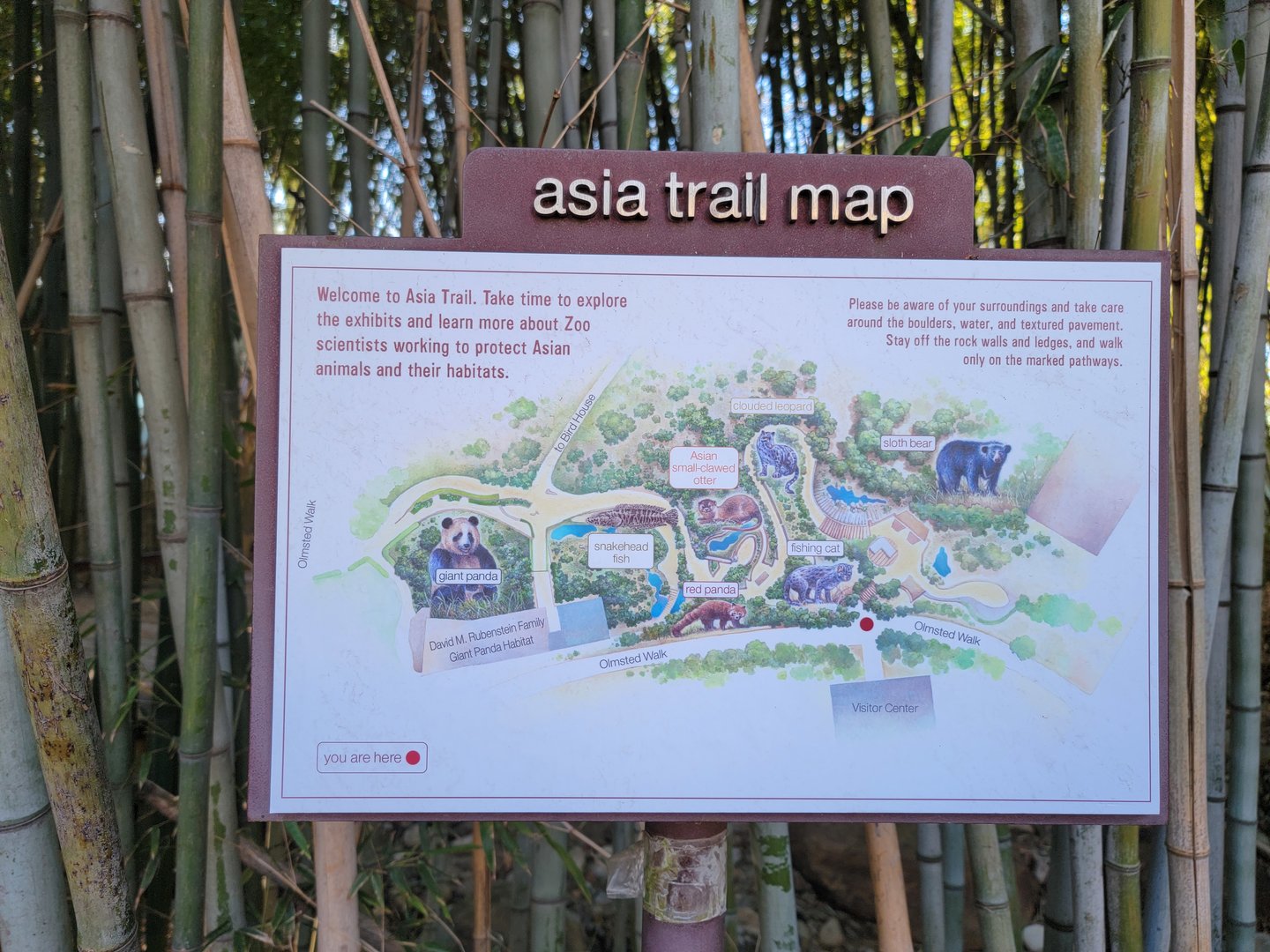Smithsonian 2/22 - Asia Trail map