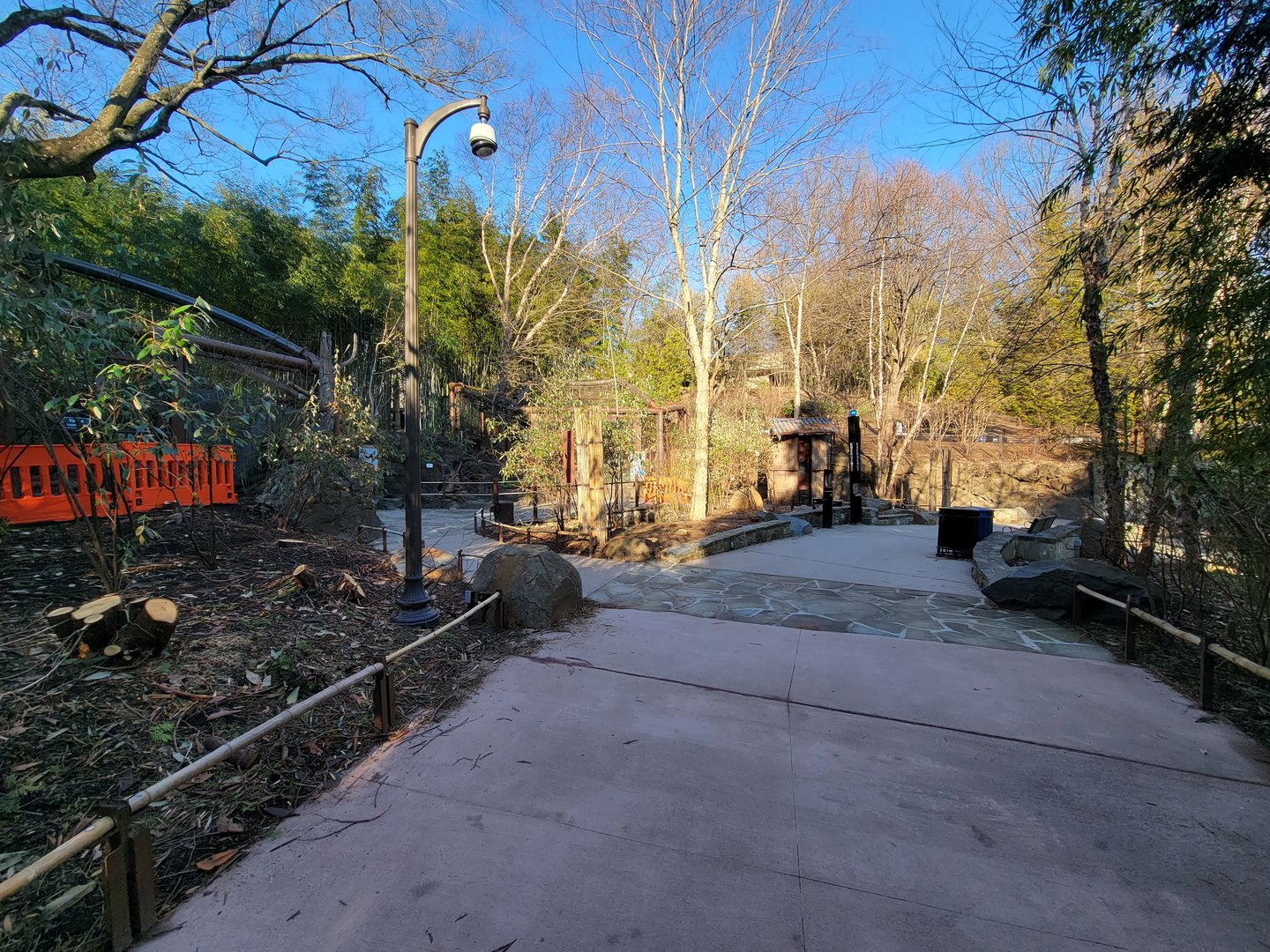 Smithsonian 2/22 - Asia Trail, Path in front of clouded leopards, do the left little loop for fishing cats