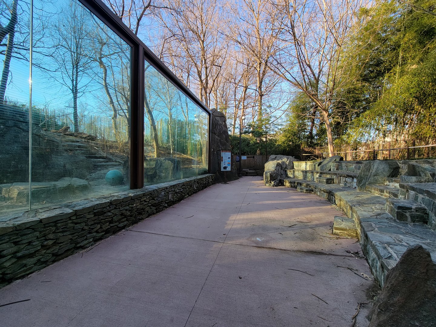 Smithsonian 2/22 - Asia Trail, sloth bear exhibit