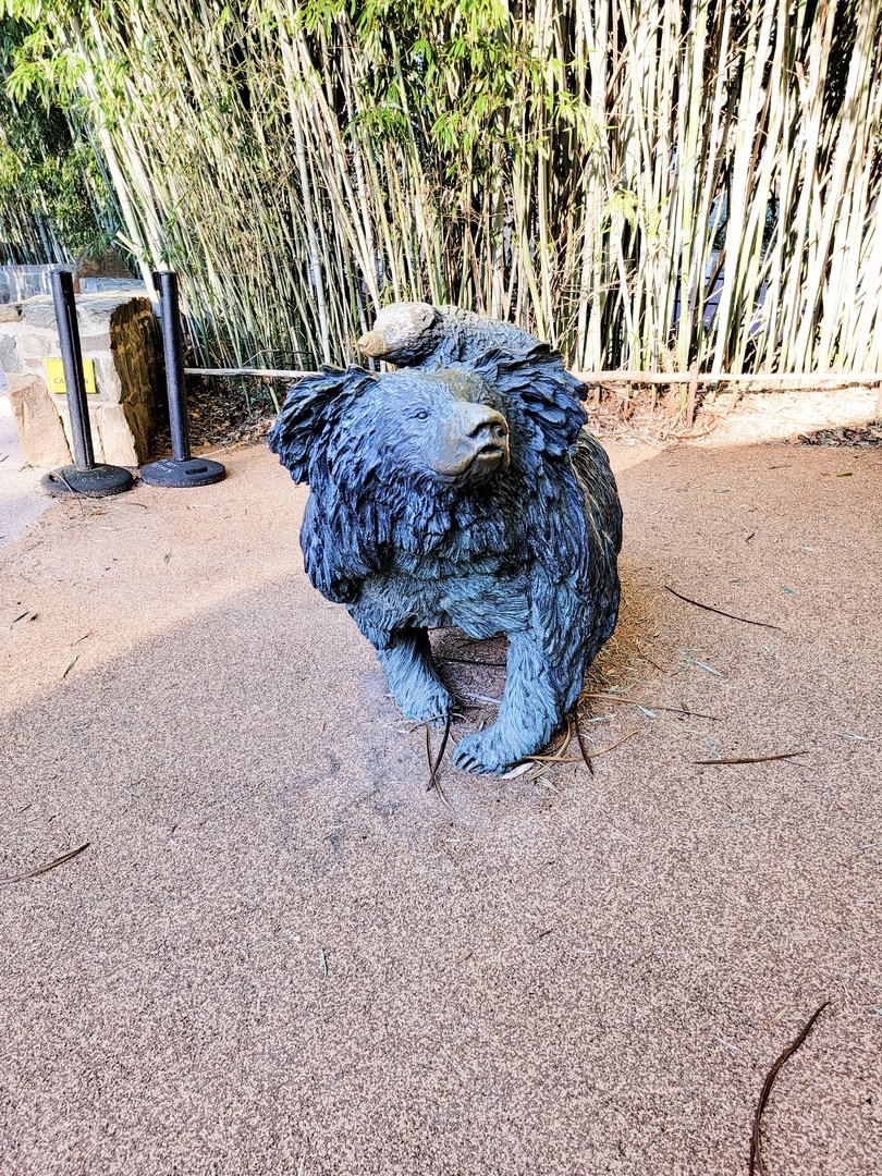 Smithsonian 2/22 - Asia Trail, sloth bear statue