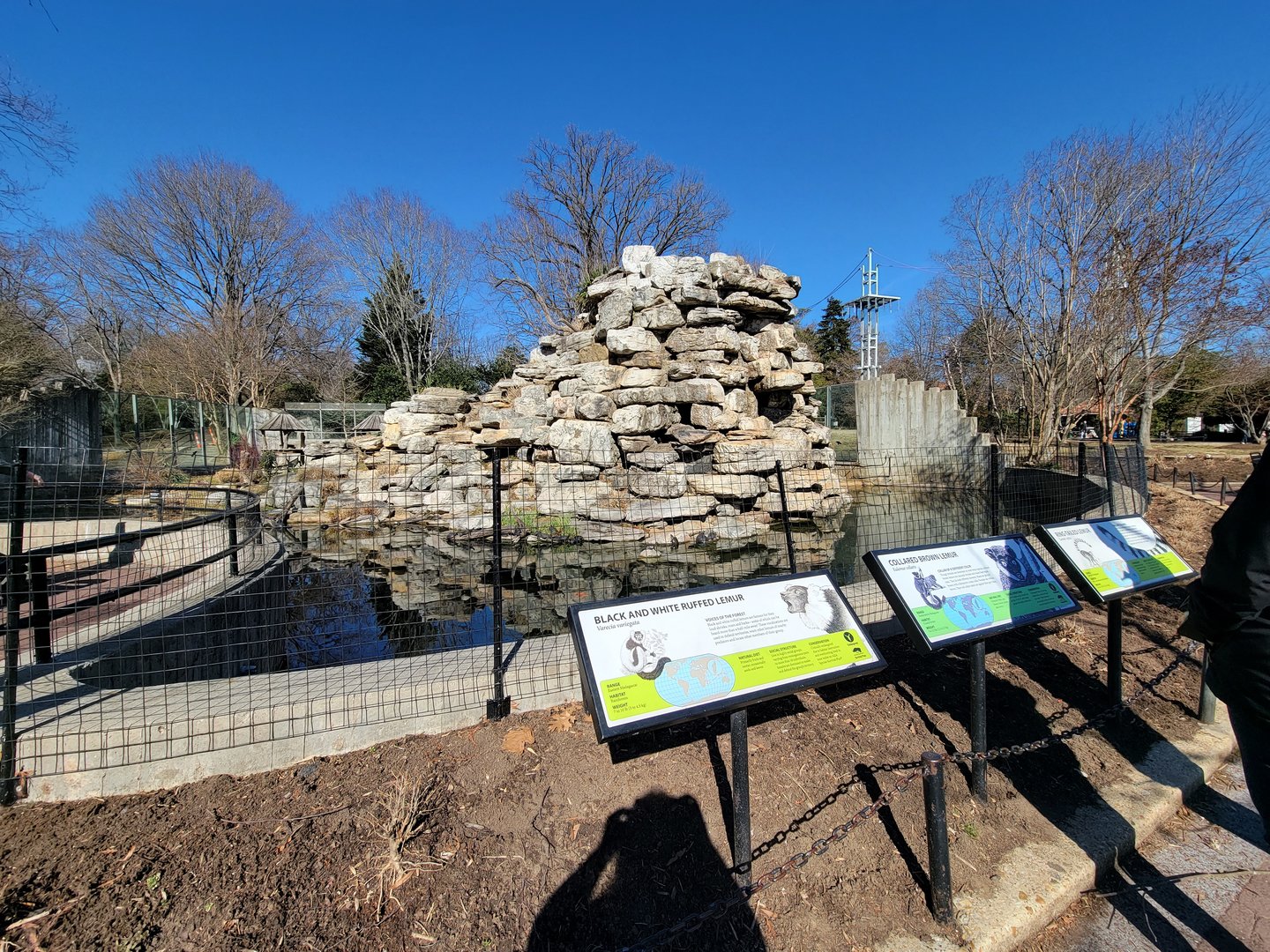 Smithsonian 2/22 - Lemur Island