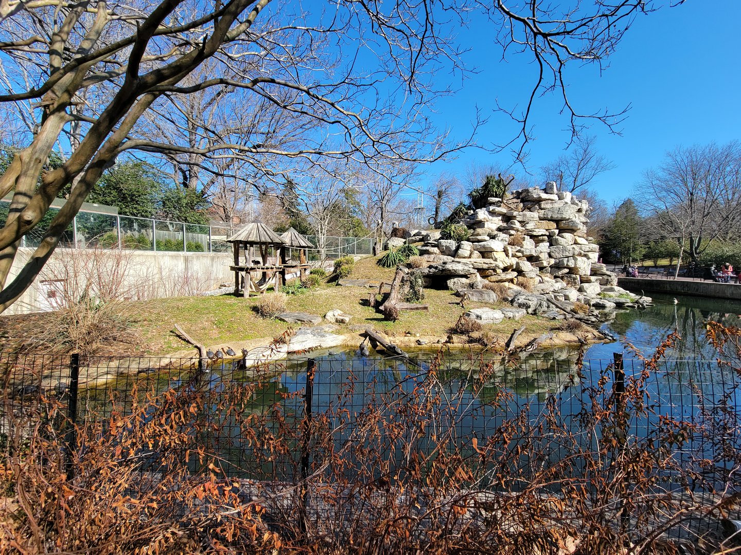 Smithsonian 2/22 - Lemur Island