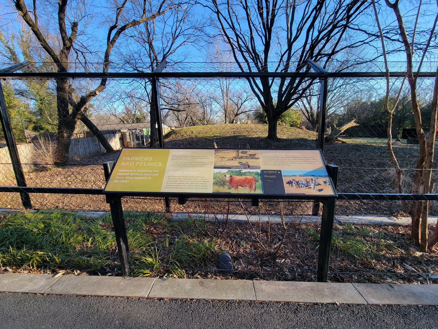 Smithsonian 2/22 -  Main/corner cheetah yard, Farmers and Felines