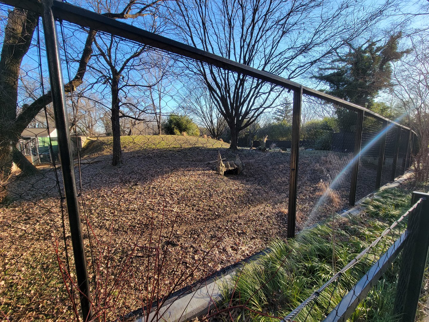 Smithsonian 2/22 -  Main/corner cheetah yard