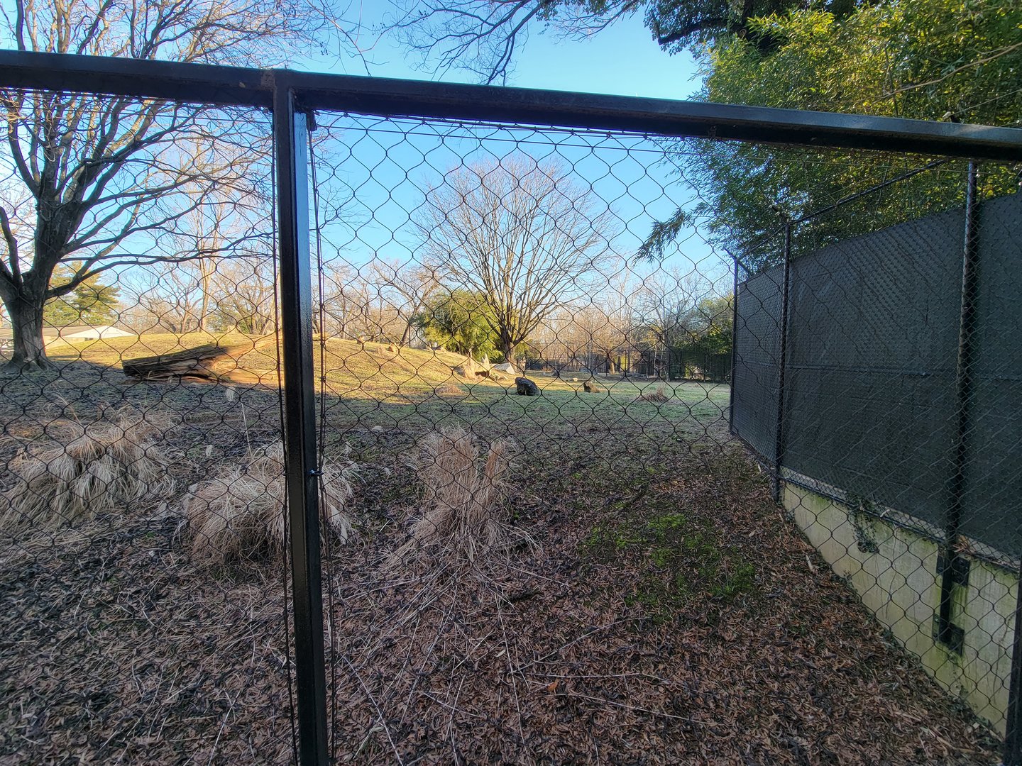 Smithsonian 2/22 -  Main/corner cheetah yard