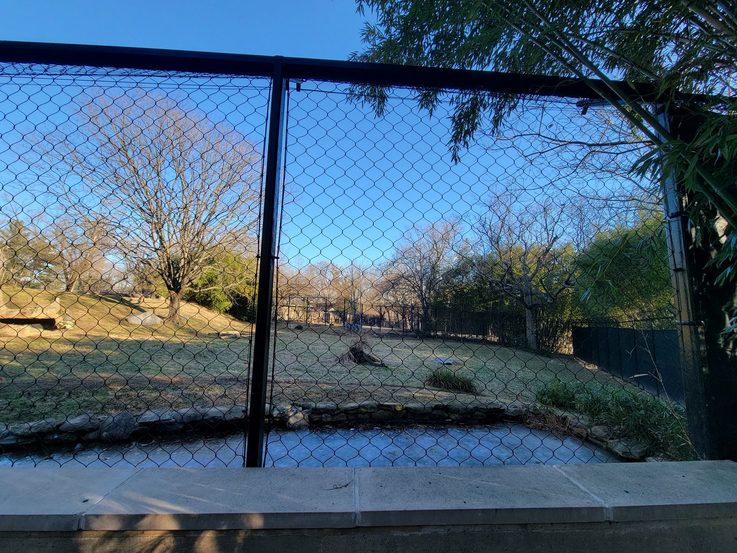 Smithsonian 2/22 -  Main/corner cheetah yard