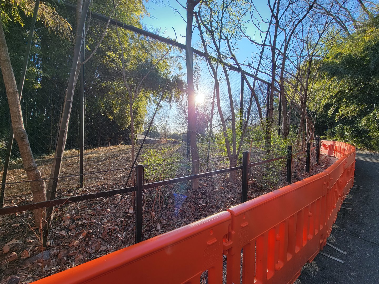 Smithsonian 2/22 -  Middle cheetah yard