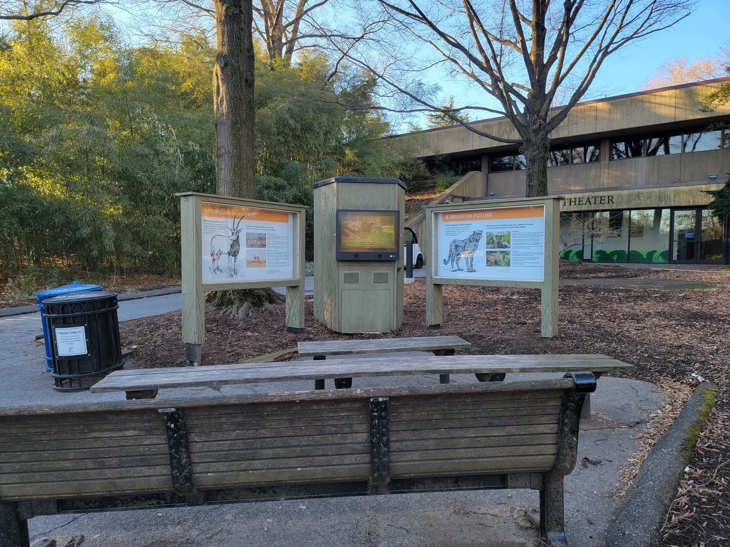 Smithsonian 2/22 - Movie about cheetahs