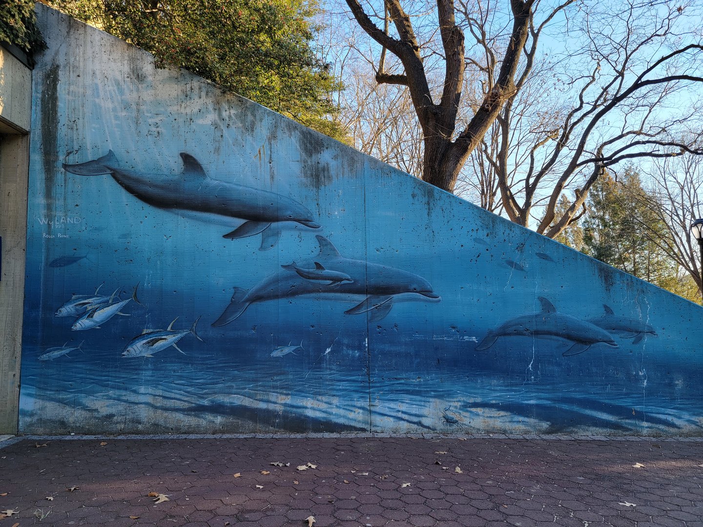 Smithsonian 2/22 - Mural next to Visitor Center