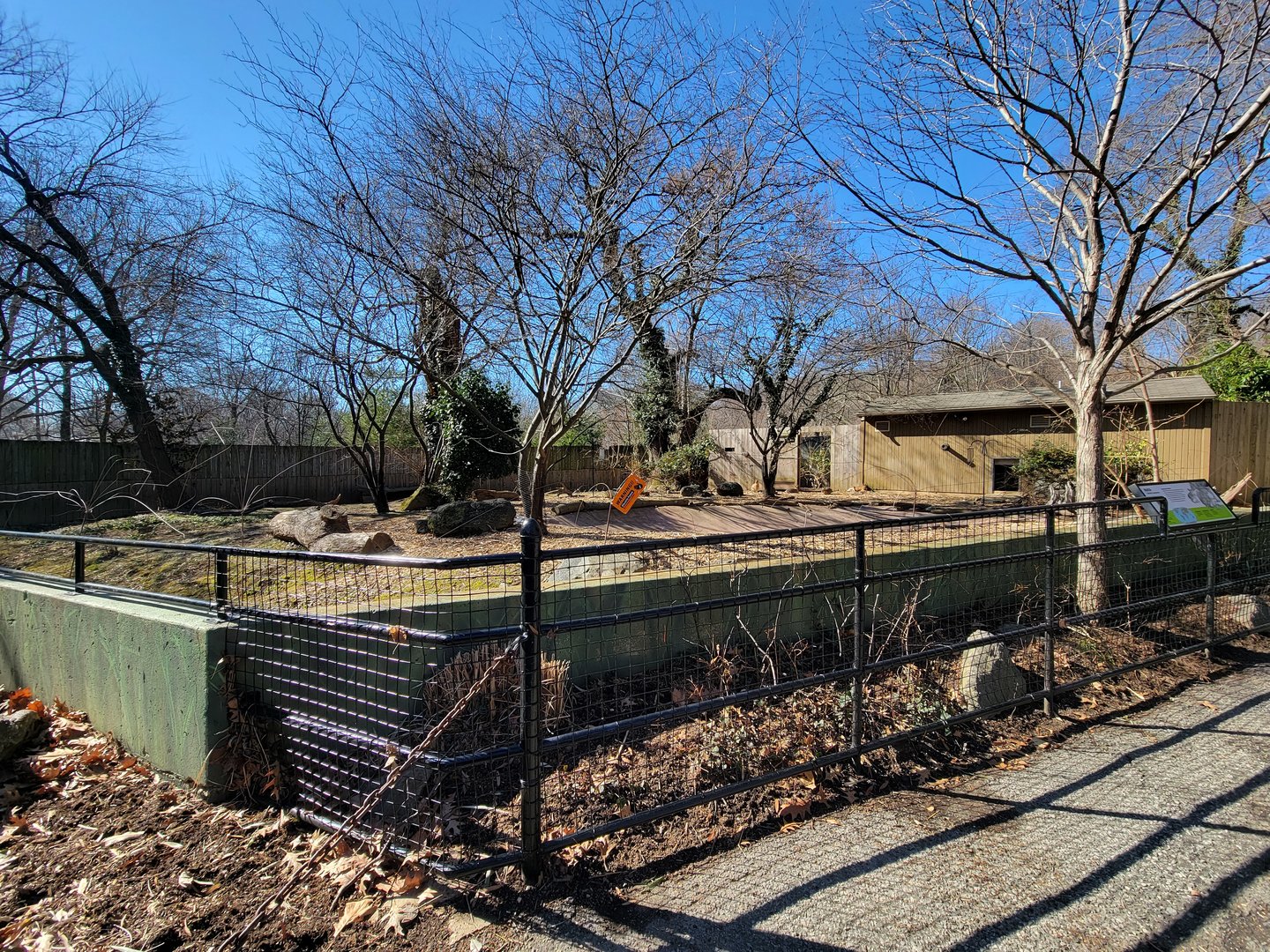 Smithsonian 2/22 - Patagonian mara