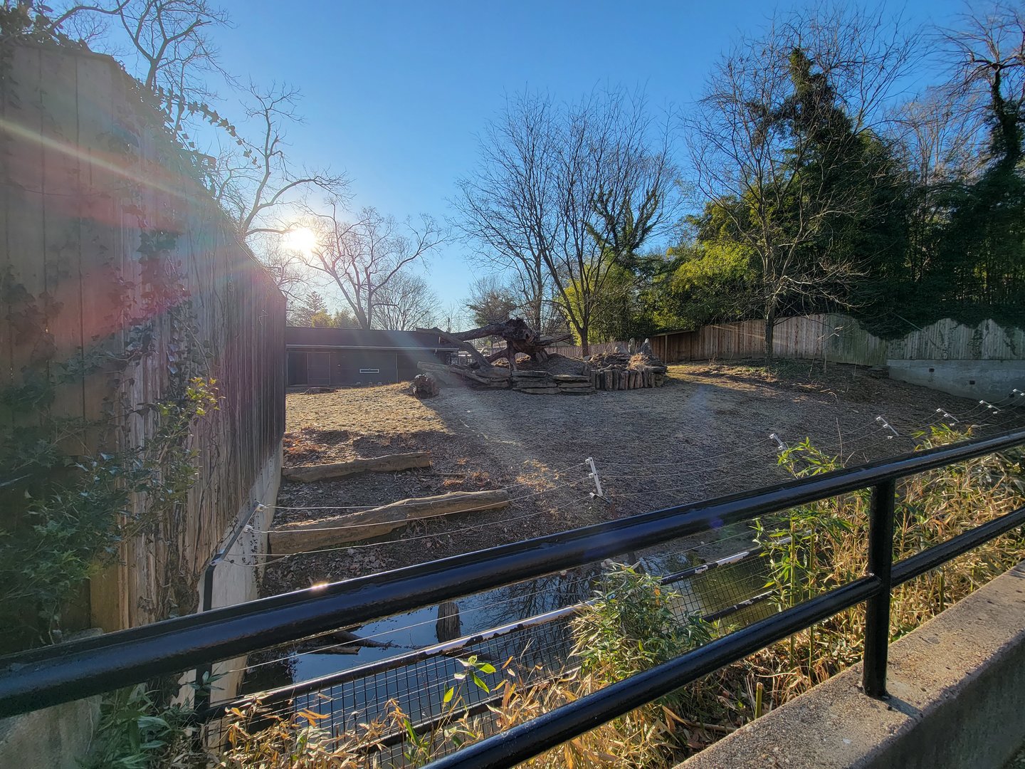 Smithsonian 2/22 - Rotational yard, held sitatunga at the time