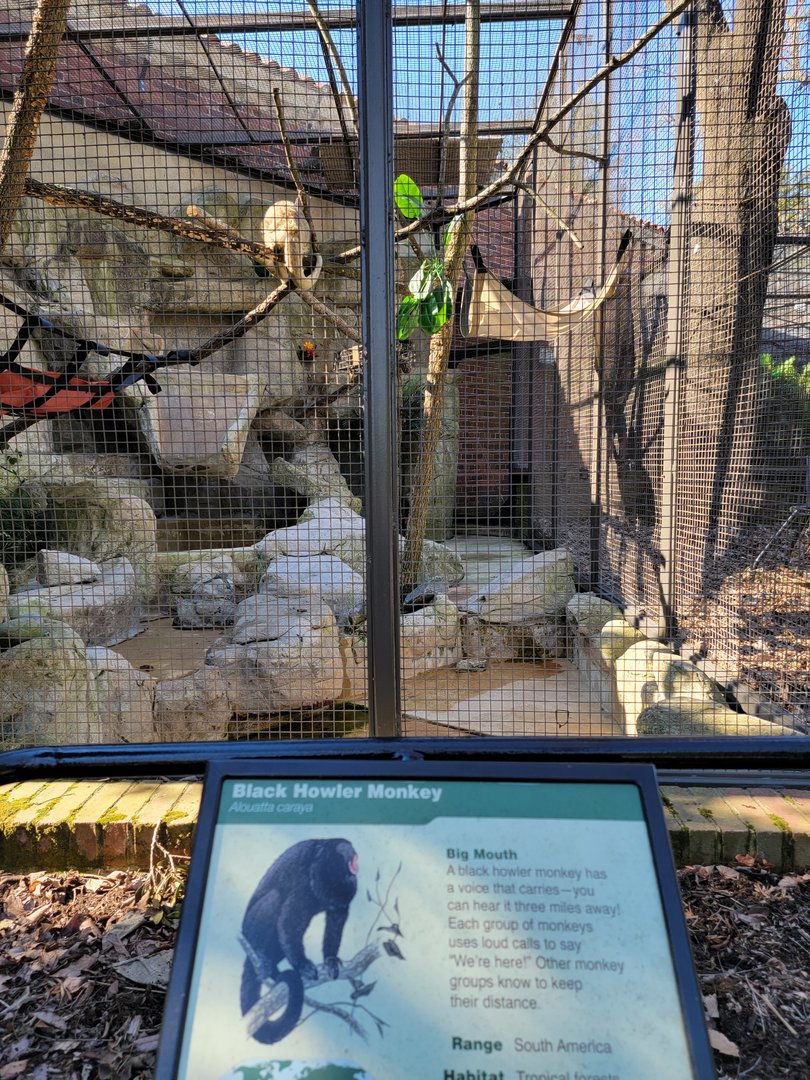 Smithsonian 2/22 - Small Mammal House, black howlers behind building