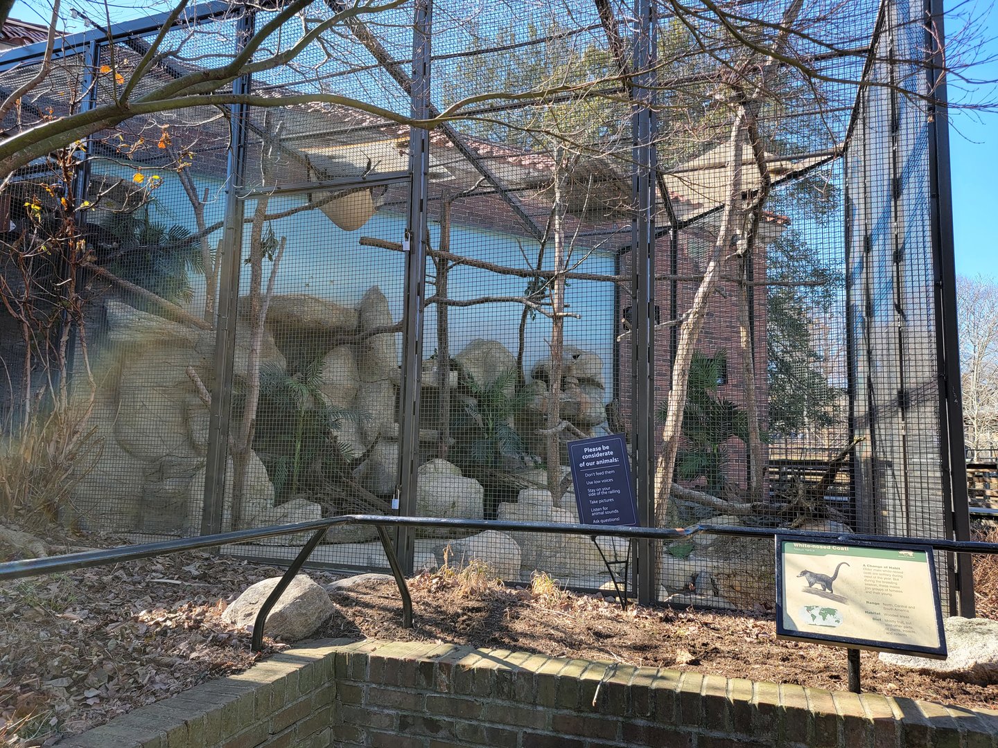 Smithsonian 2/22 - Small Mammal House, coati behind building