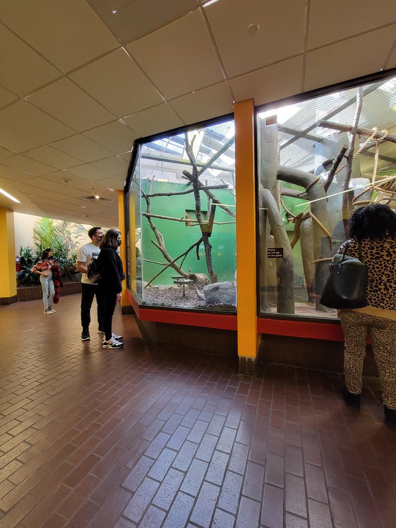 Smithsonian 2/22 - Small Mammal House, general view of what the building looks like