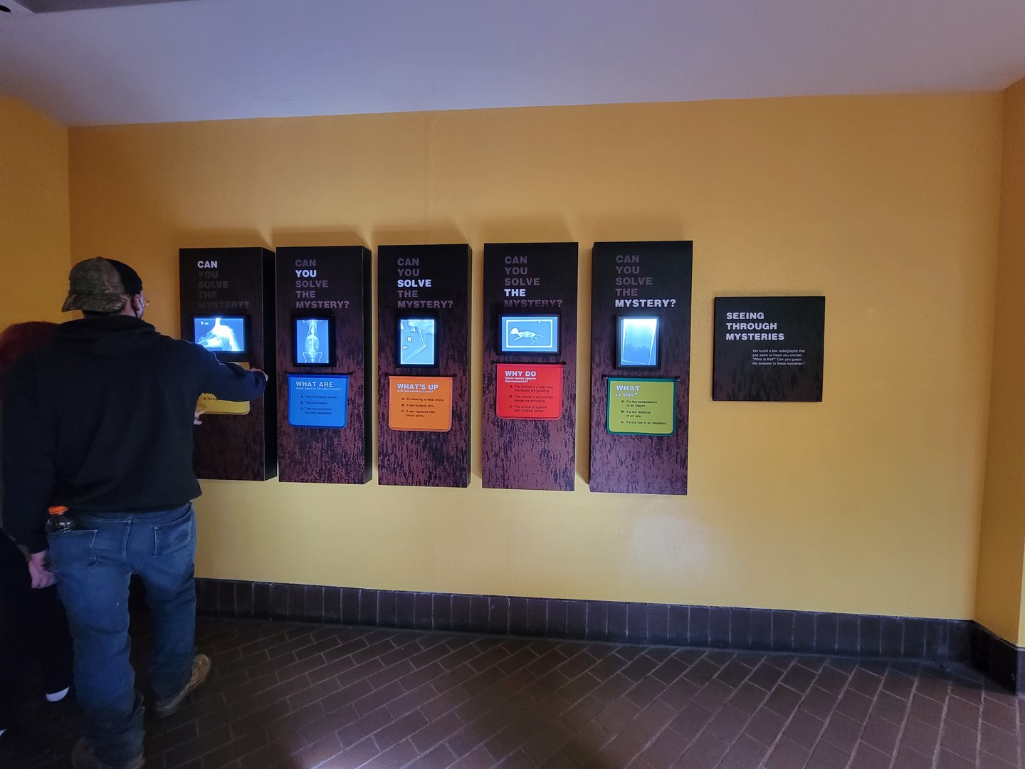 Smithsonian 2/22 - Small Mammal House, The Inside Story: Radiographs