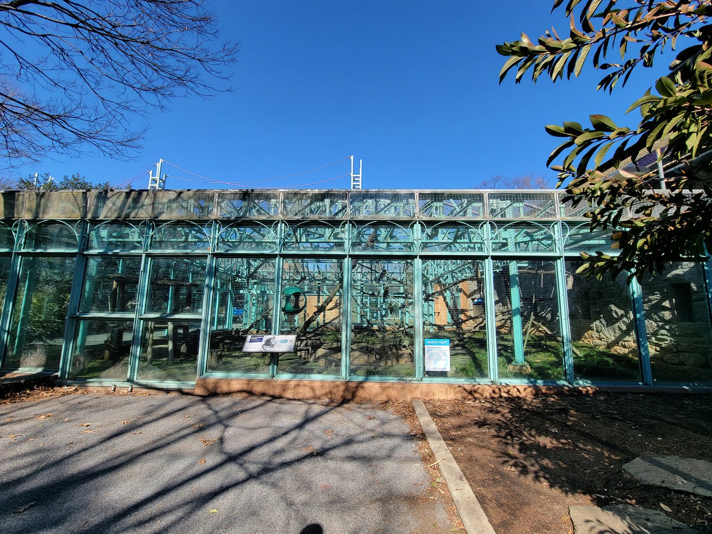 Smithsonian 2/22 - Think Tank, Allen's swamp monkeys