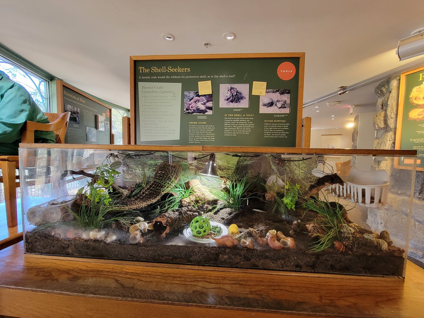 Smithsonian 2/22 - Think Tank, hermit crabs