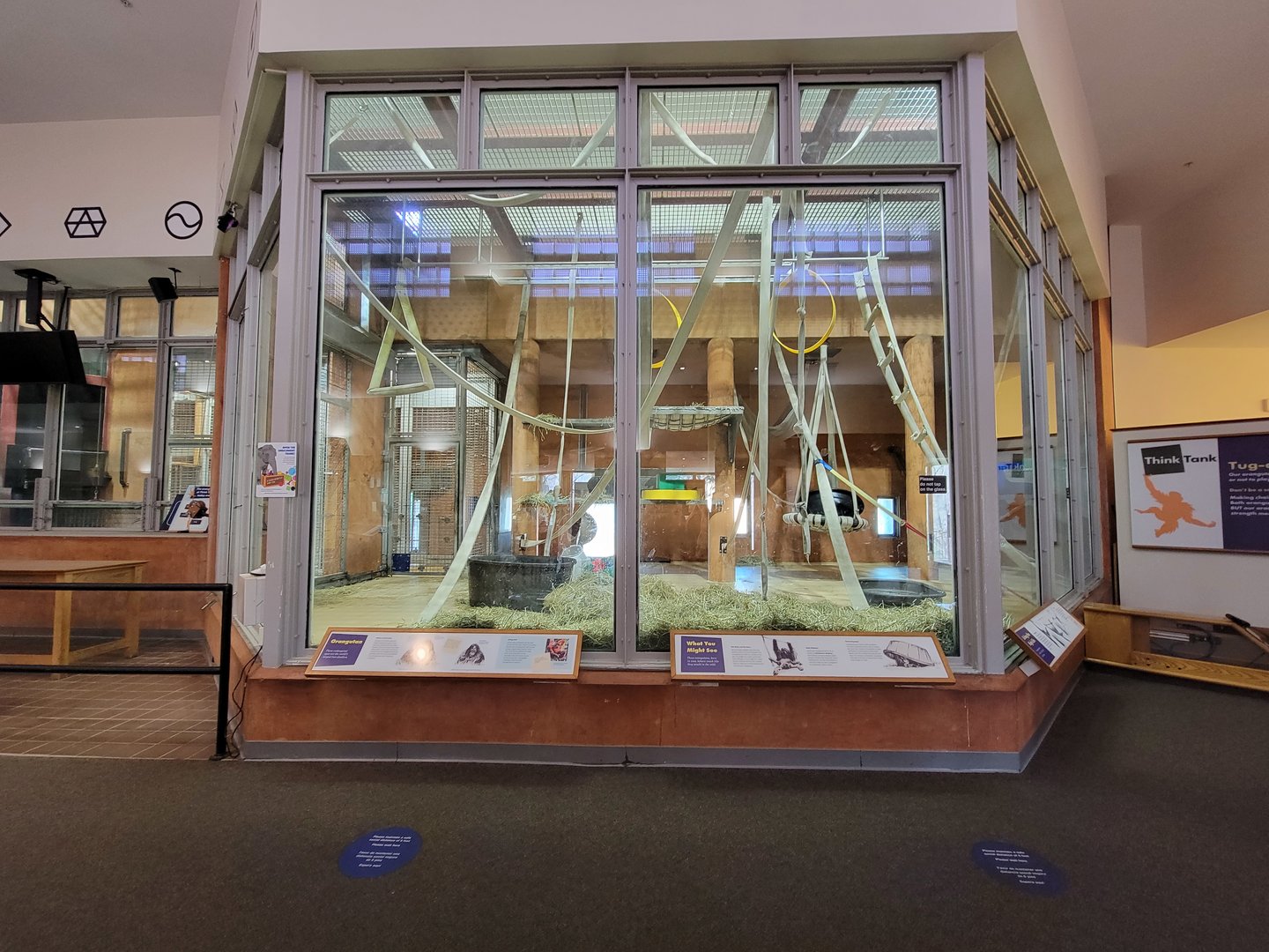 Smithsonian 2/22 - Think Tank, orangutan indoor area