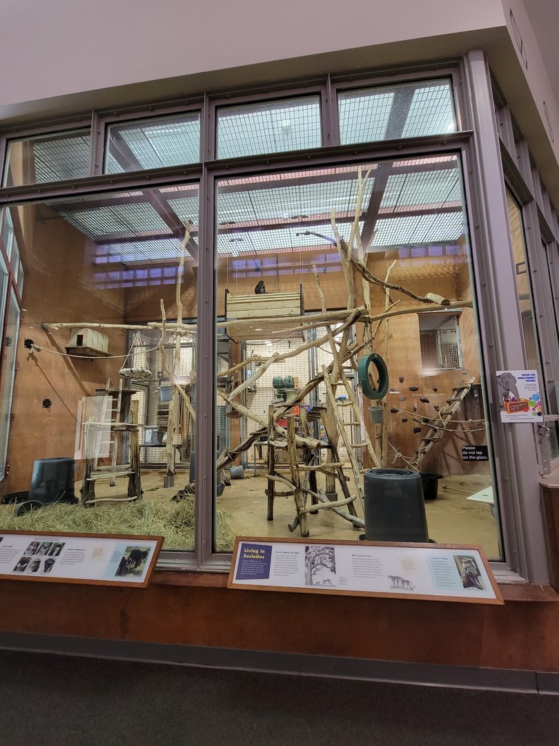 Smithsonian 2/22 - Think Tank