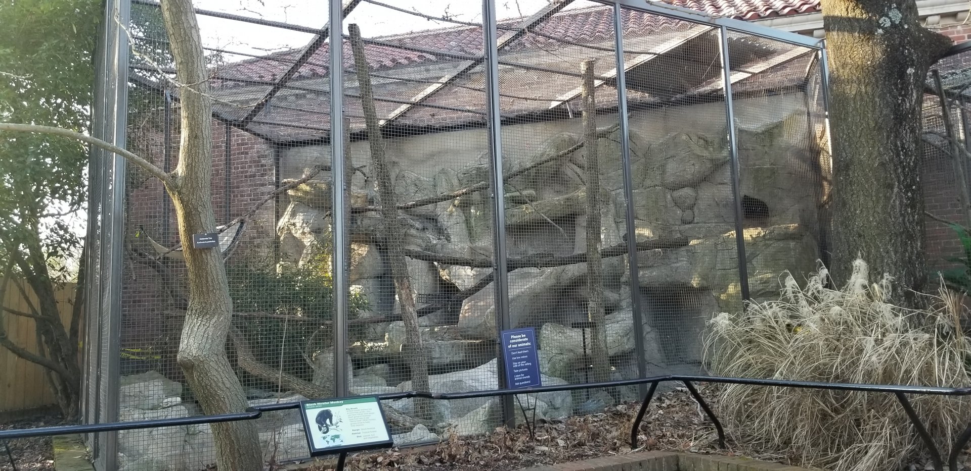 Smithsonian -  black howler monkey exhibit