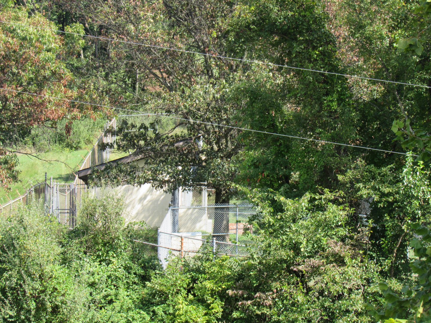 Smithsonian Conservation Biology Institute- Autumn Festival