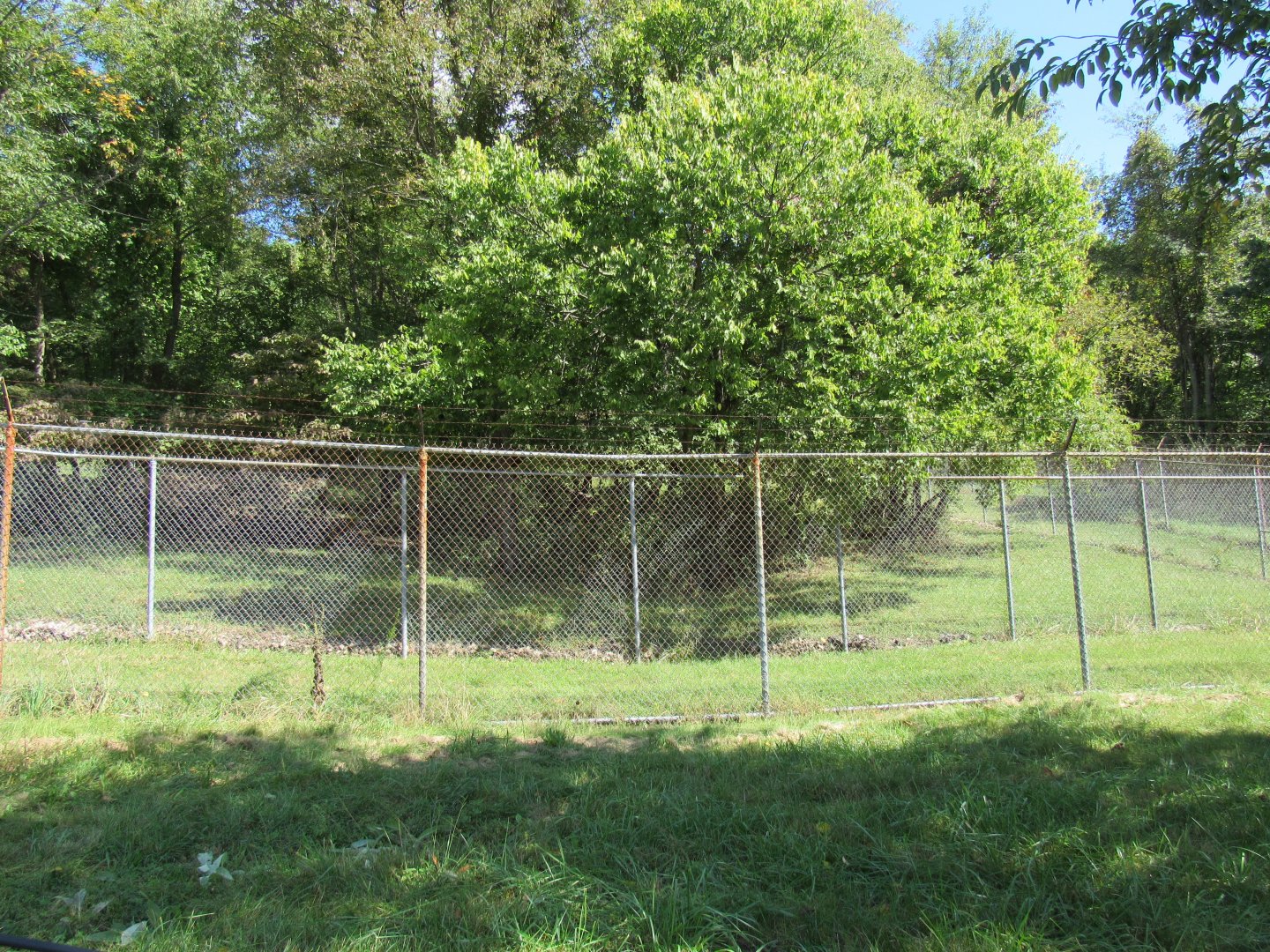 Smithsonian Conservation Biology Institute- Autumn Festival