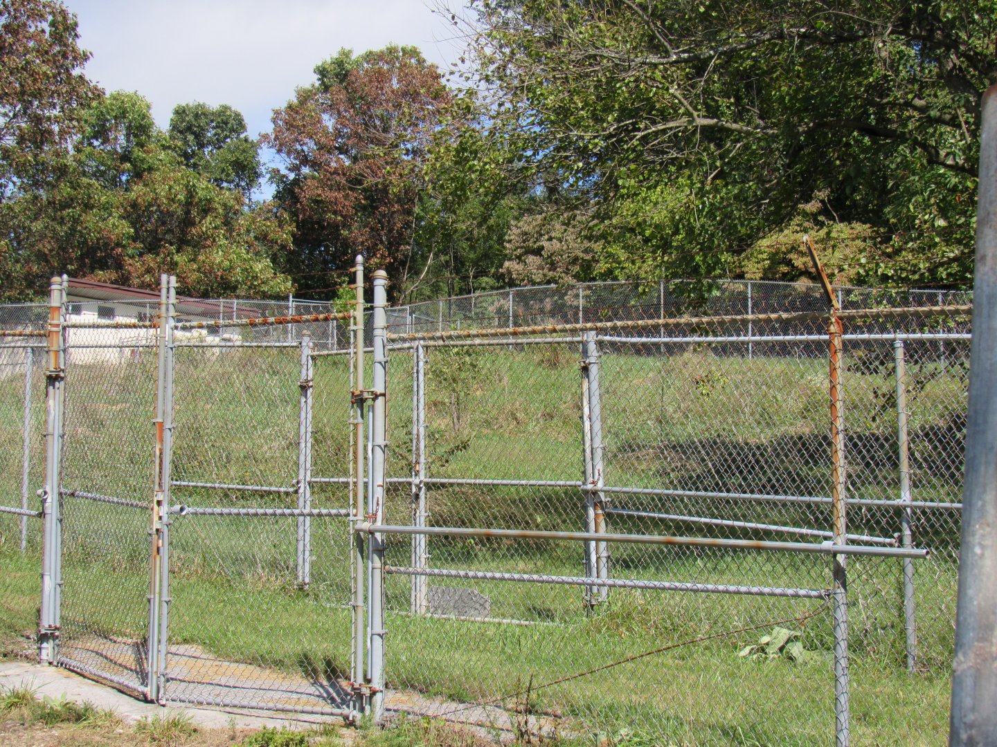 Smithsonian Conservation Biology Institute- Autumn Festival