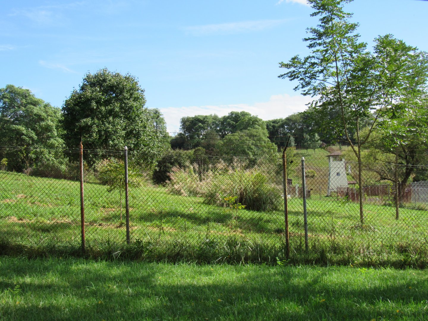 Smithsonian Conservation Biology Institute- Autumn Festival