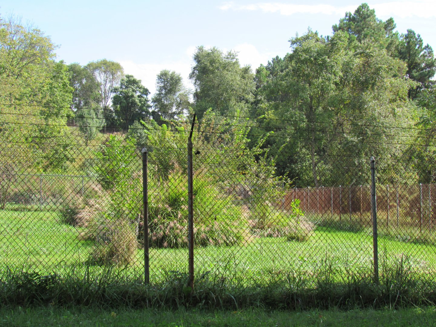 Smithsonian Conservation Biology Institute- Autumn Festival