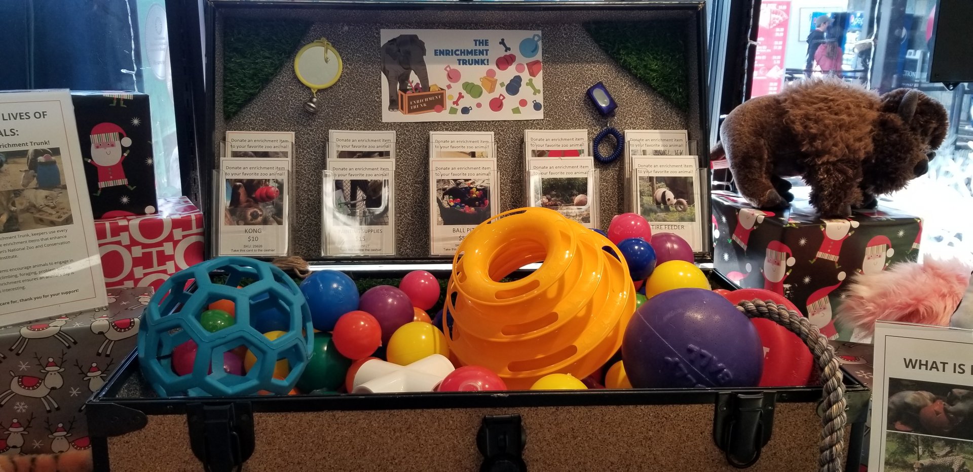 Smithsonian -  Enrichment Trunk in gift shop