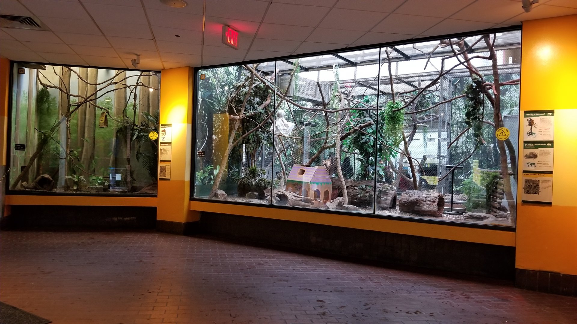 Smithsonian - First two exhibits in Small Mammal House