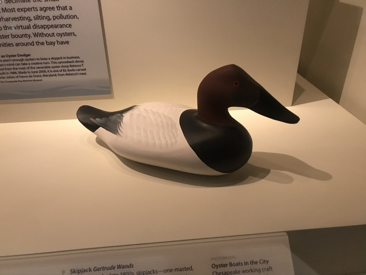 Smithsonian Museum of American History: Canvasback Decoy