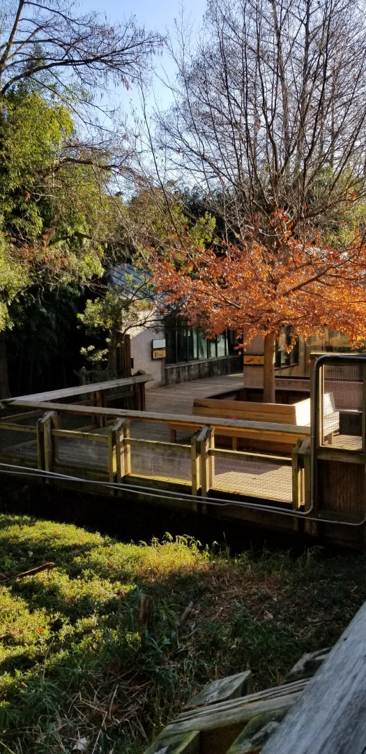 Smithsonian -  outdoor reptile buildings