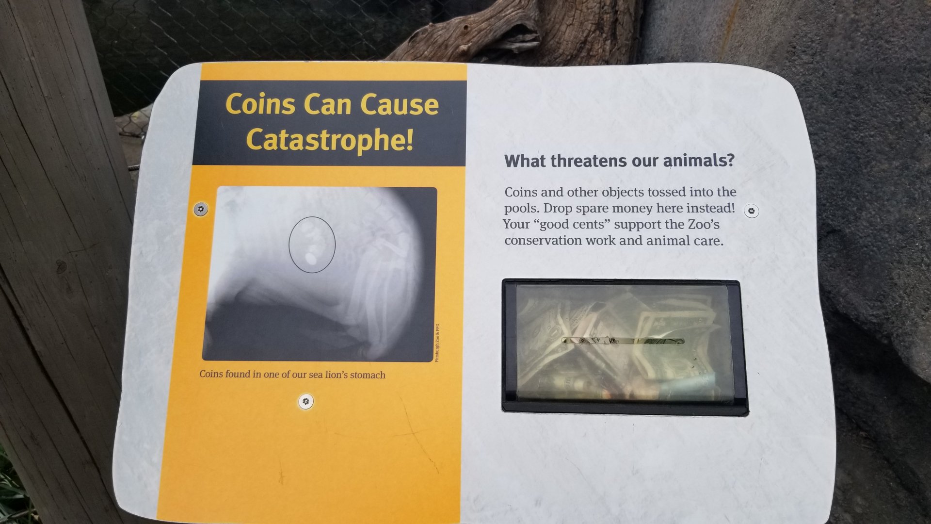 Smithsonian - Sign about throwing coins in pinniped pools