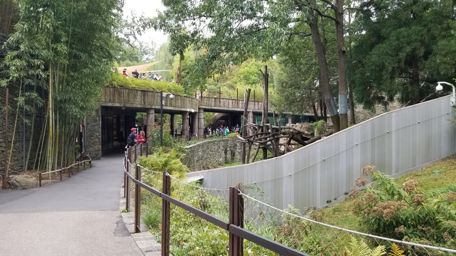 Smithsonian - upper and lower giant panda viewing levels, center yard