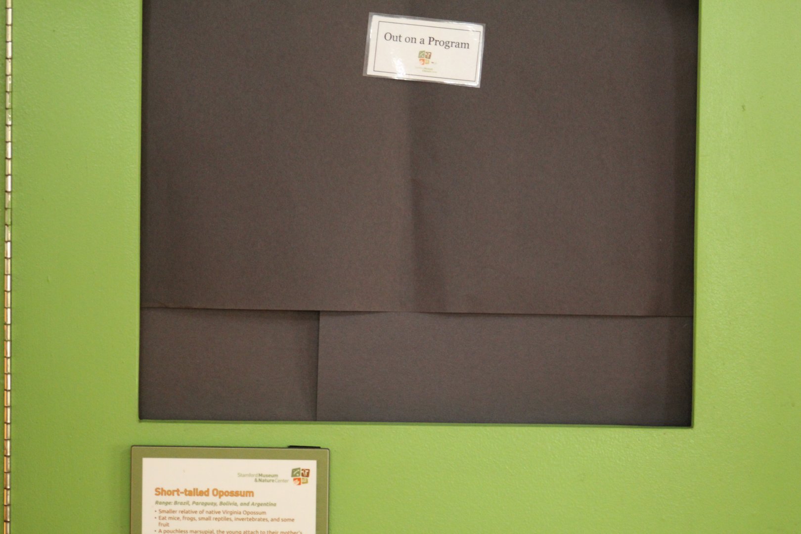 SMNC-Missing Opossum