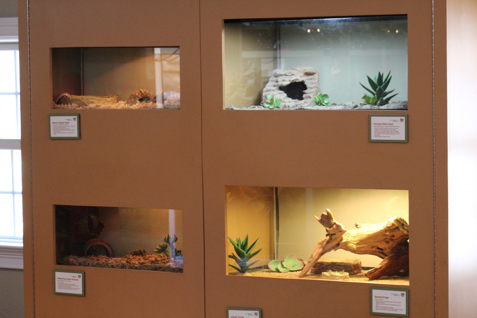 SMNC-View of Terrariums