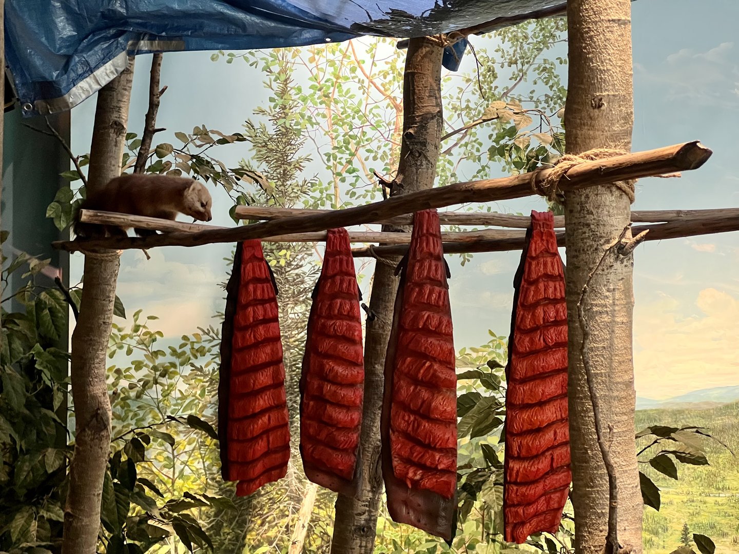 Smoked Salmon and Marten - Interior Alaska Diorama