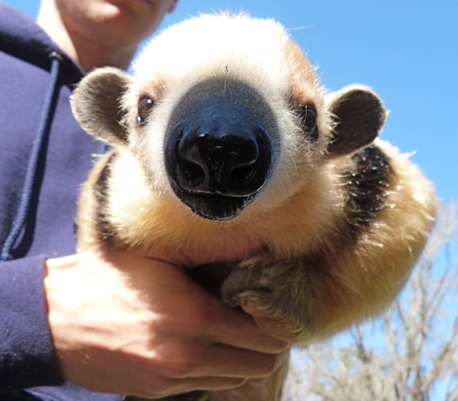 *Smooches* from Silvio