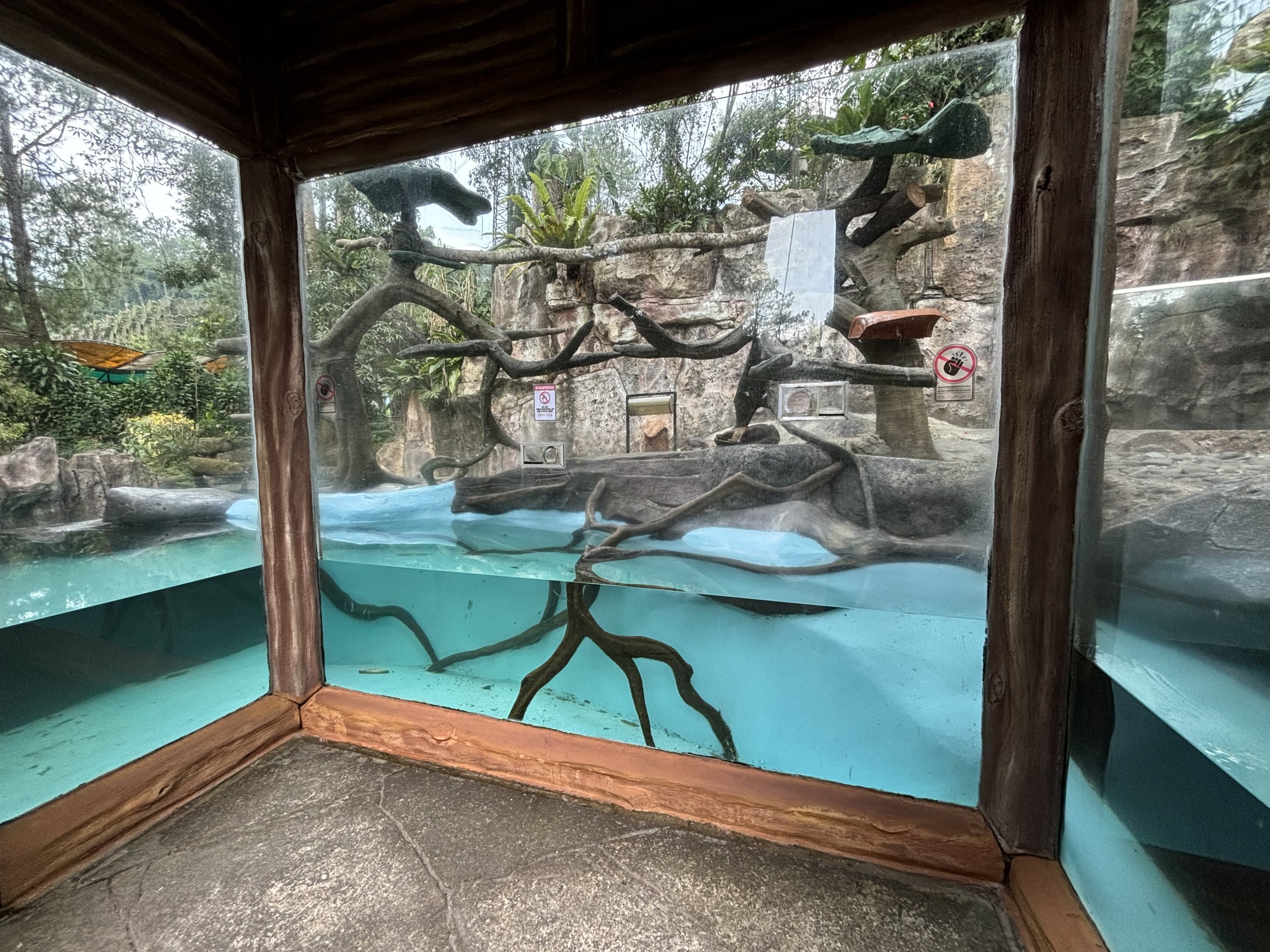 Smooth-coated Otter + Binturong Exhibit