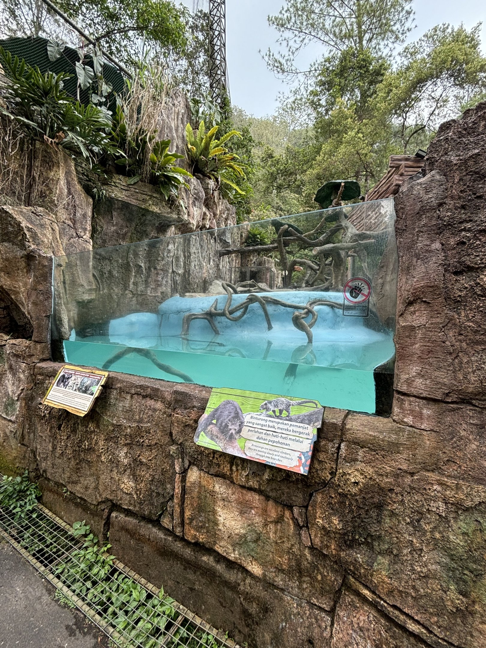 Smooth-coated Otter + Binturong Exhibit
