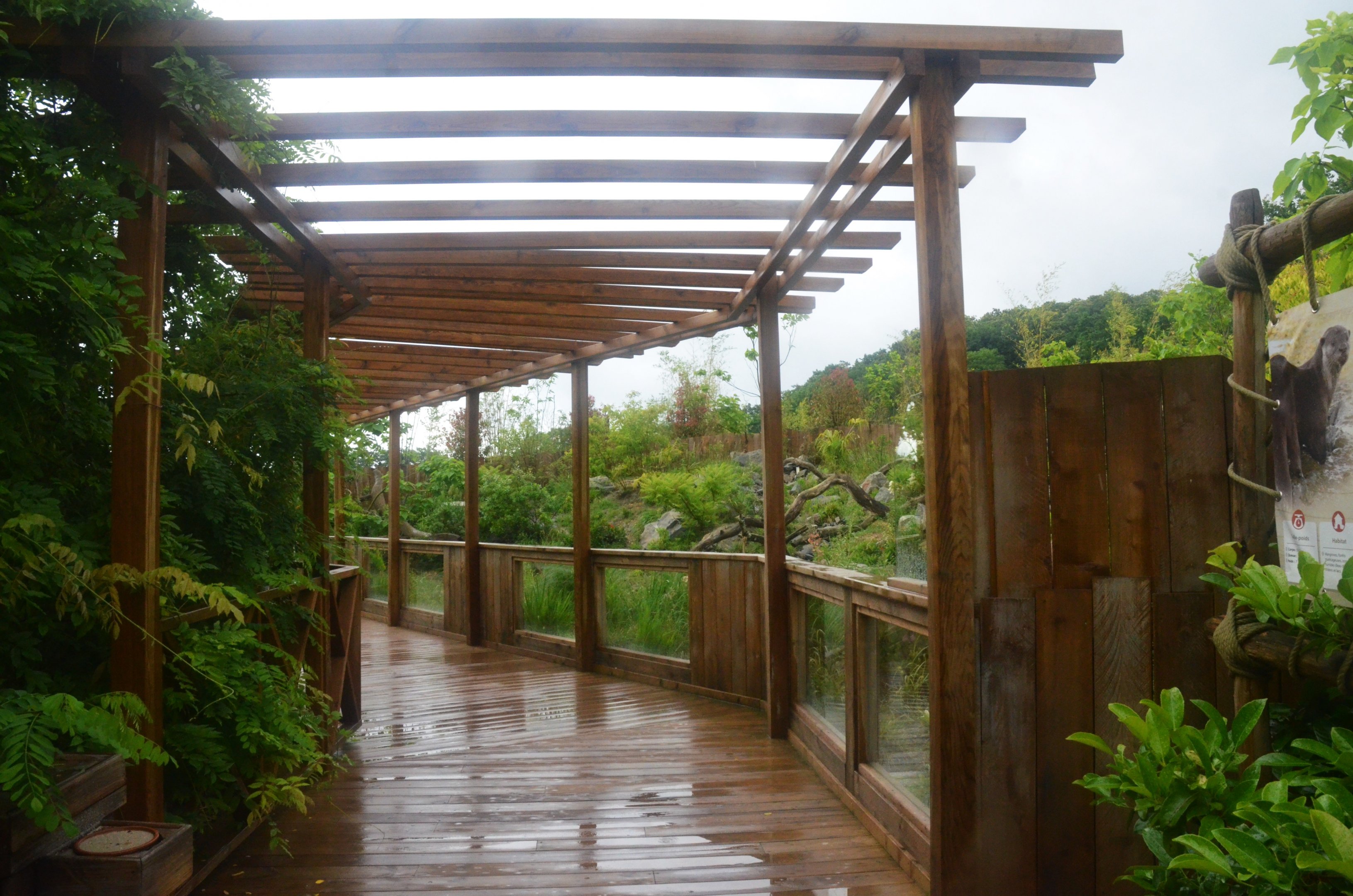 Smooth-coated Otter Enclosure at La Flèche, 11/06/18