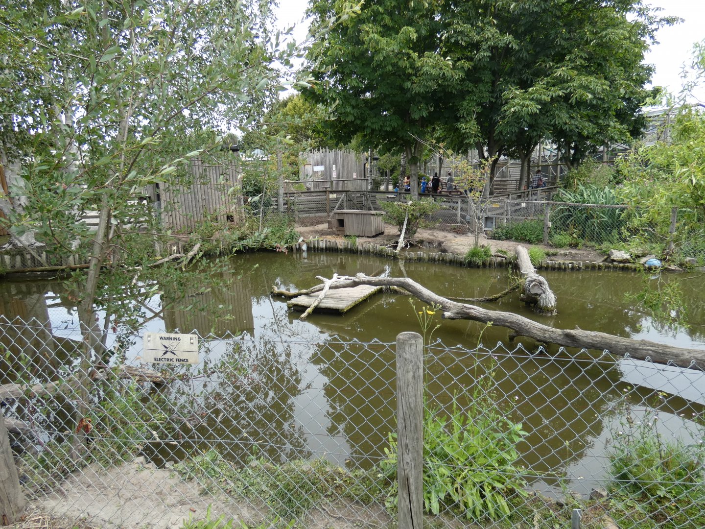 Smooth-coated Otter enclosure